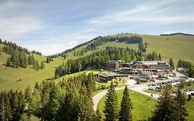 Almwellness Hotel Pierer